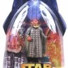 Star Wars Action Figure - Meena Tills (Senator) -Costumes Crazy Shop 2126050211